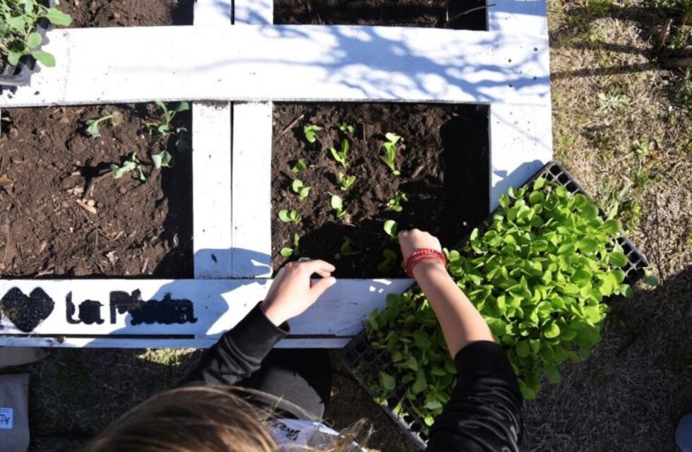 “La Huerta de Casa”: nuevo ciclo de la propuesta que promueve el cultivo autogestivo de alimentos