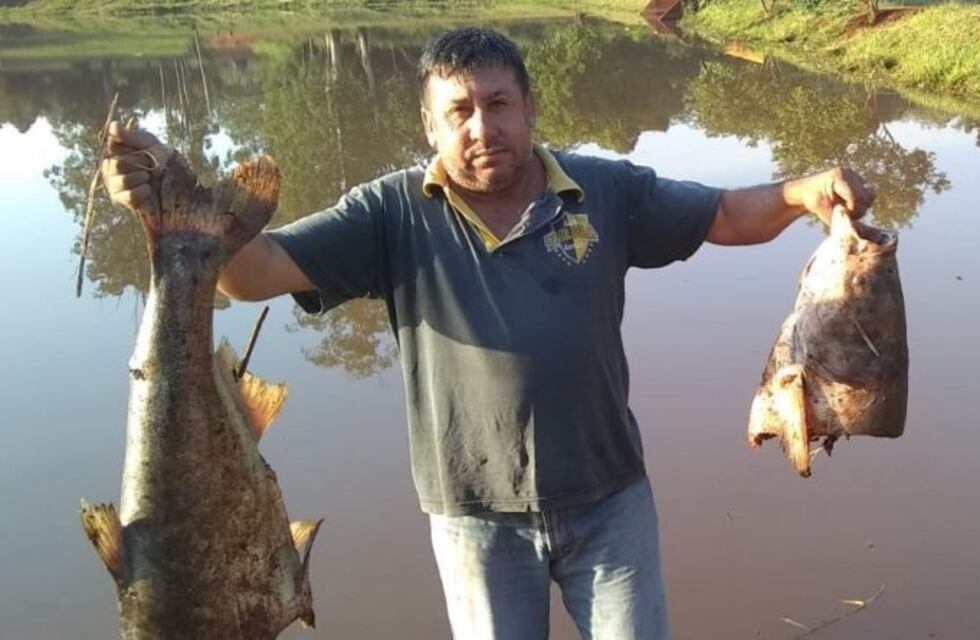 Investigan la extraña muerte de peces en el lago eldoradense Ziegler