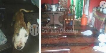 Nena atacada por un perro / Foto: Municipalidad Gral\u002E Madariaga