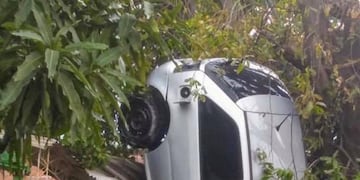El auto terminó parado de frente y al lado de un árbol