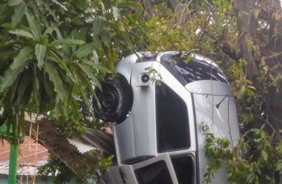 ¿Como pasó? Un Volkswagen Gol terminó en posición vertical al lado de un árbol