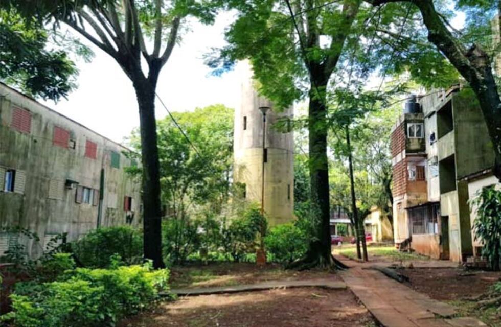 Maltrato animal en Iguazú: lanzó a un perro por las escaleras desde un tercer piso