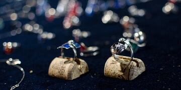 Foto: Prensa de Gobierno