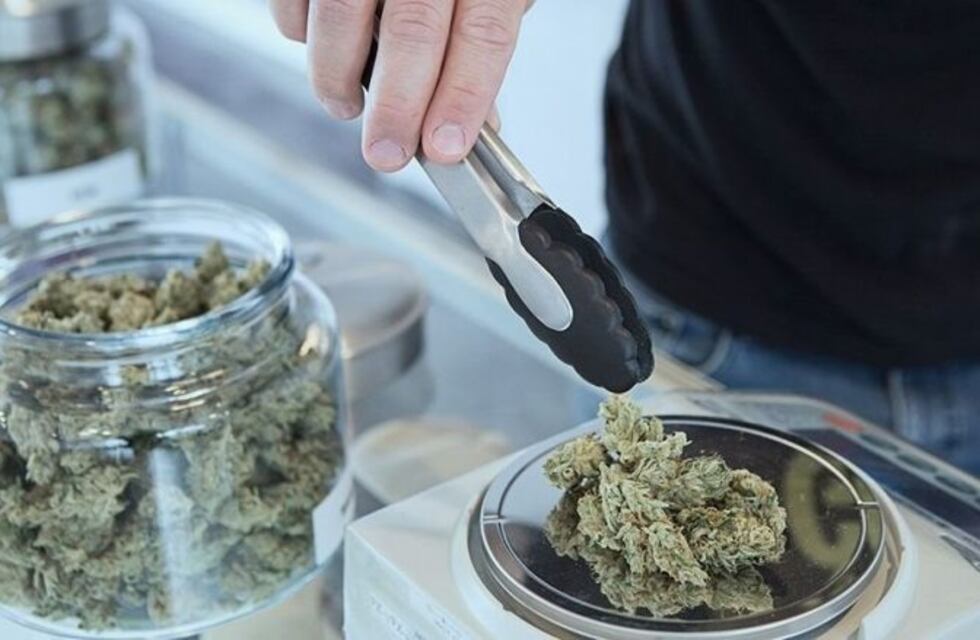 Farmacias platenses podrán vender aceite de cannabis para casos de epilepsia