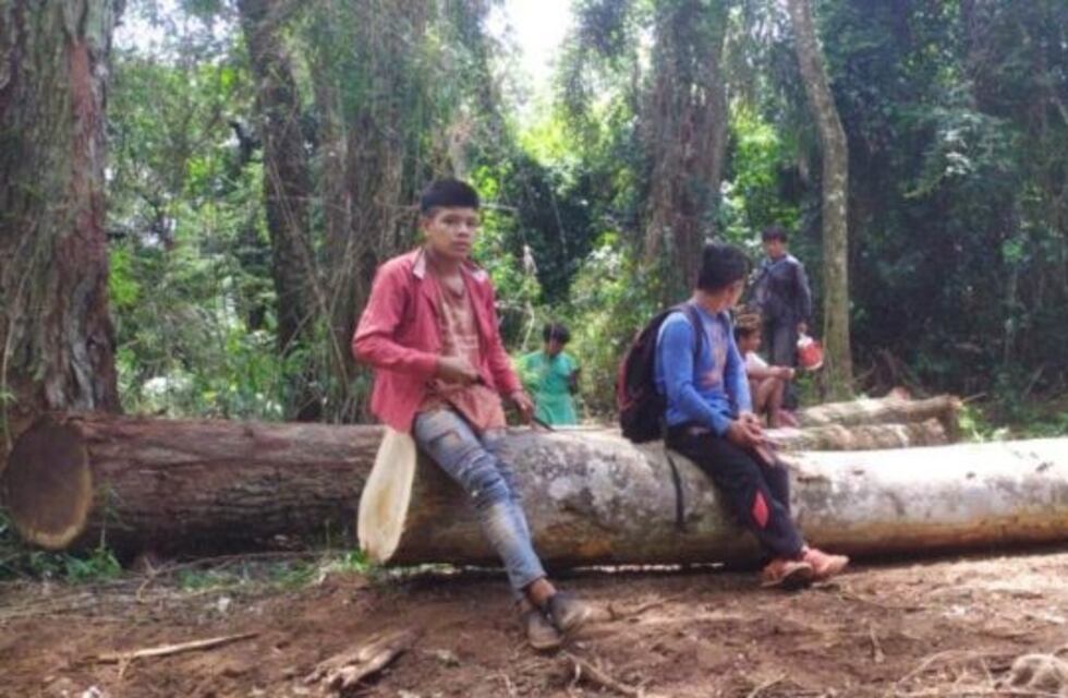 Aborígenes reclaman detener la tala en una tierra que reclaman