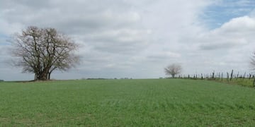 Lunes parcialmente nublado en Azul