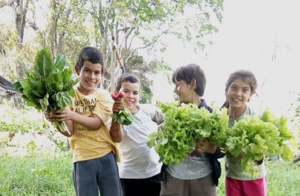 Campo Viera tendrá escuelas con aroma a huerta