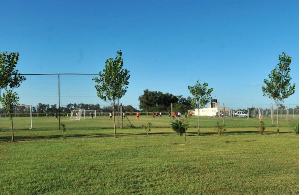 Destrozos en el predio Nicolás Losano