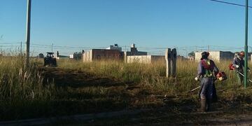 La Municipalidad llevó adelante un desmalezado en lotes en donde los dueños no lo hacen por su cuenta (Prensa Municipalidad de Rafaela)