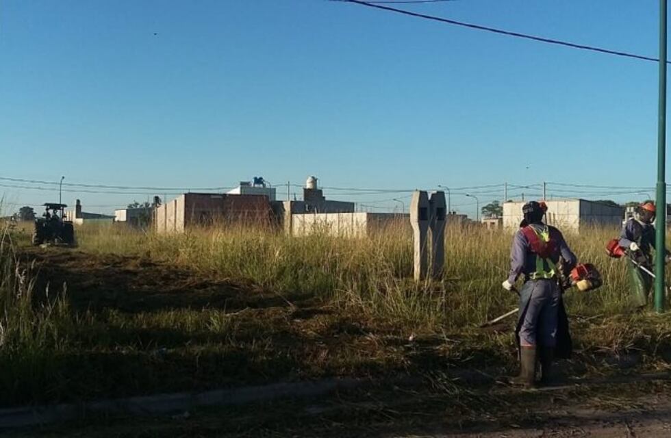 La Municipalidad desmalezó 113 lotes en el Mora pero mandará la factura al dueño