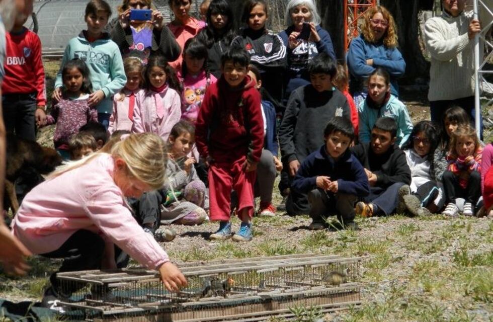En presencia de niños, liberaron ejemplares de siete cuchillos recuperados