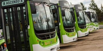 Colectivos urbanos Jesús María (Gentileza Noticias Jesús María)