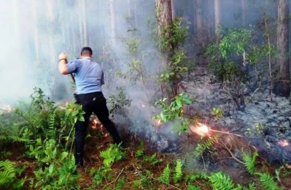 Extinguen numerosos principios de incendios en la zona central de la provincia