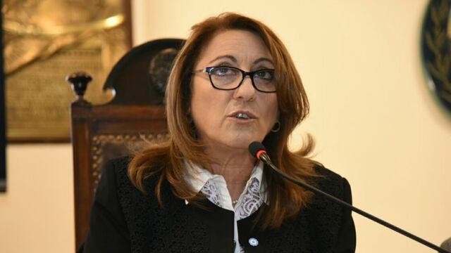 Fein encabezu00f3 la apertura de sesiones en el Concejo Municipal.