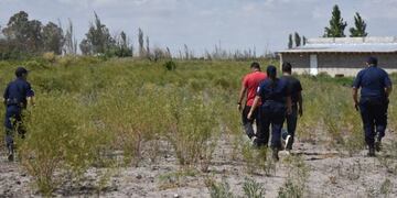 Robo en el Médano de Oro\u002E