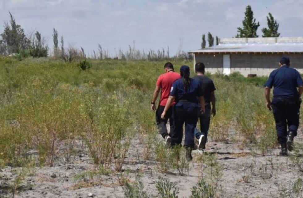Aprovecharon que el casero dormía para desmantelar un depósito