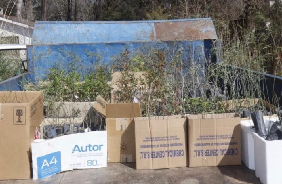 El vivero municipal de Carlos Paz recibió mil árboles nativos