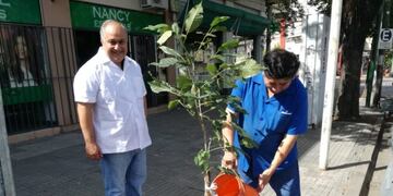 Invitan a los salteños a colaborar con el riego del arbolado urbano\u002E (Municipalidad de Salta)