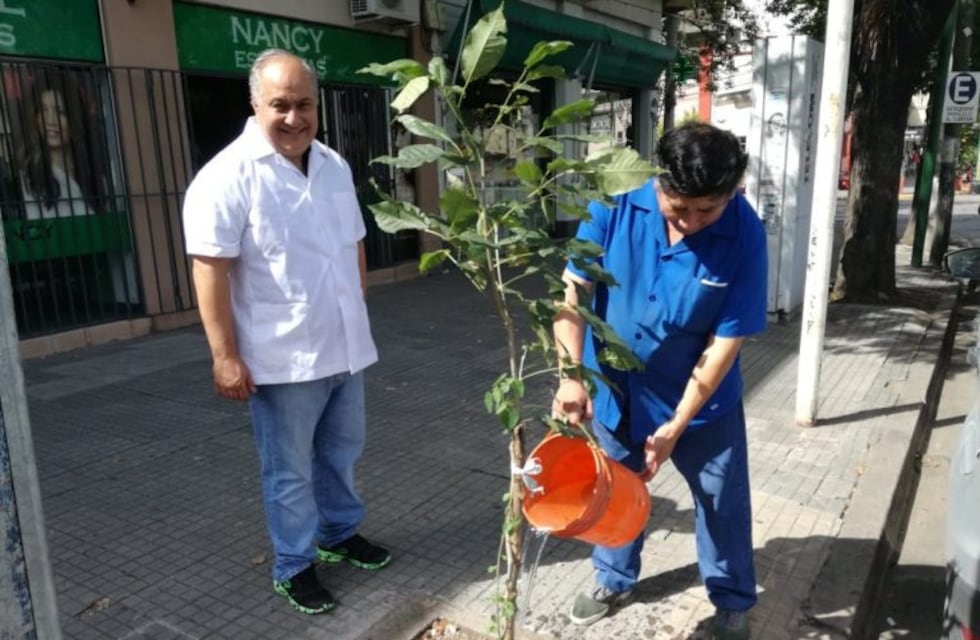 Invitan a los salteños a colaborar con el riego del arbolado urbano
