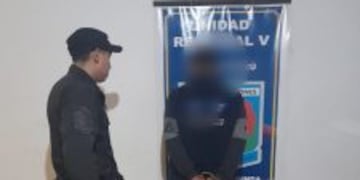 Un detenido tras sustraer un televisor un Wanda.