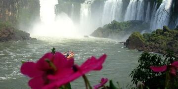 Primavera en Iguazú