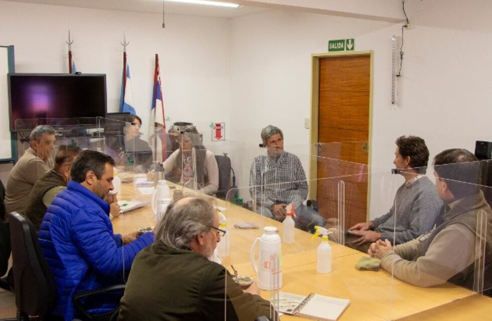 Acción conjunta del INTA y del INYM para mejorar la producción yerbatera