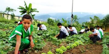 Educación Ambiental