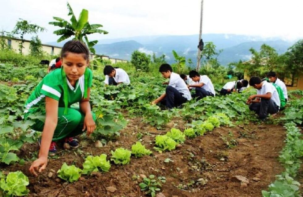 Dictarán cursos de capacitación ambiental en Carlos Paz