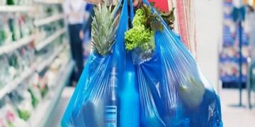 Intentarán, por medio de un proyecto, que los comercios no entreguen más bolsas plástica y sean reemplazadas por otro material\u002E