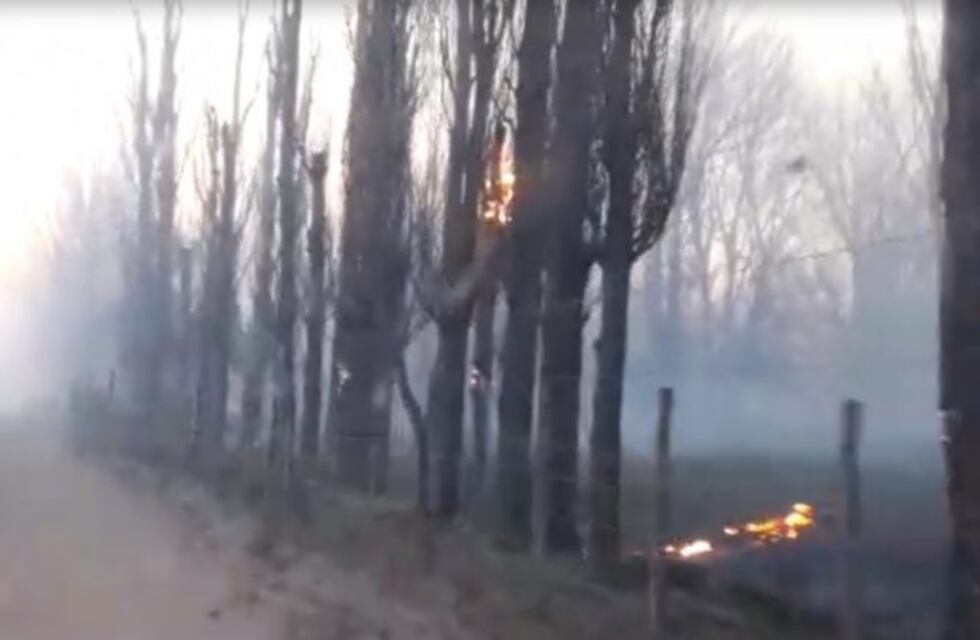 El paso del Zonda por San Rafael provocó 15 focos de incendio