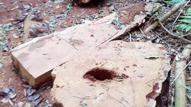 La comunidad Fortín Mbororé, denuncian desmontes de parte de la comunidad Mirí Marangatú