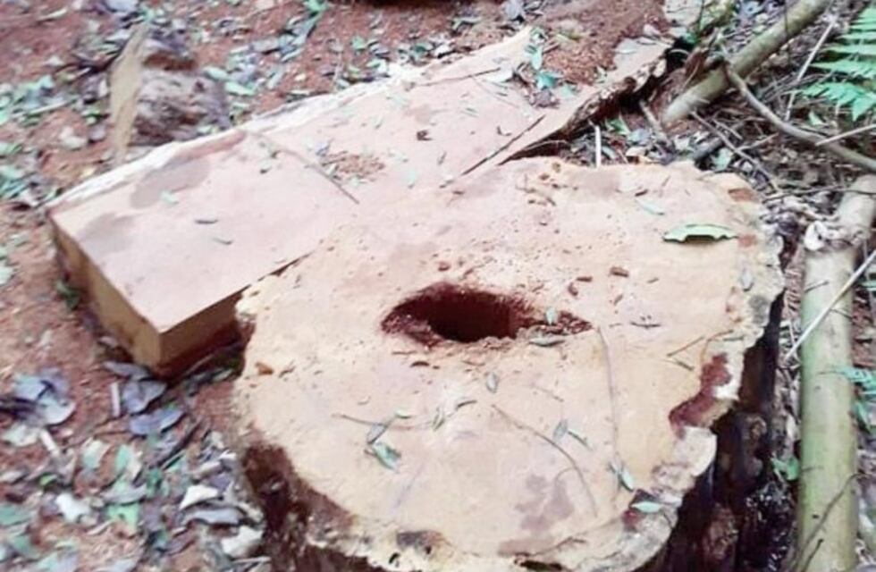 La comunidad Fortín Mbororé, denuncian desmontes de parte de la comunidad Mirí Marangatú