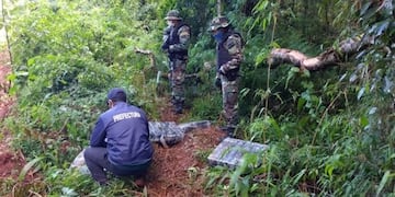 La droga estaba escondida en una zona de monte\u002E