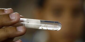 Los contagios en Santa Fe superaron los 5 mil en lo que va del año\u002E (Archivo)