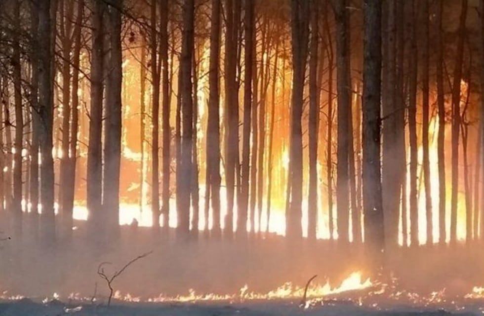 Desde este 1º de junio rige en Córdoba la alerta por incendios   forestales