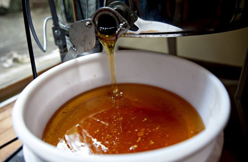 La ANMAT prohibió la comercialización de una marca de miel