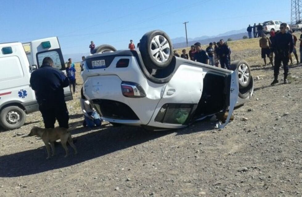 Quisieron esquivar un animal y volcaron en Ruta 40