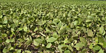 Productores de Córdoba rechazan el aumento del inmobiliario rural\u002E