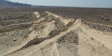 Un camionero pasó por las Líneas de Nazca