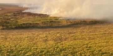 Nación envió un helicóptero para combatir el fuego en las islas (Municipalidad de Rosario)