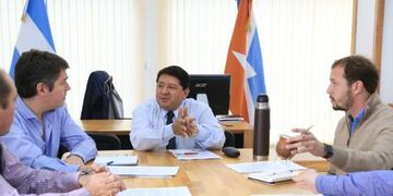 PERROS ASILVESTRADOS