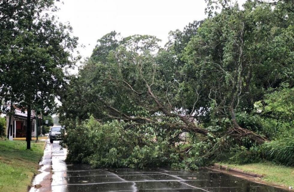 Tormenta afectó a gran parte de la provincia