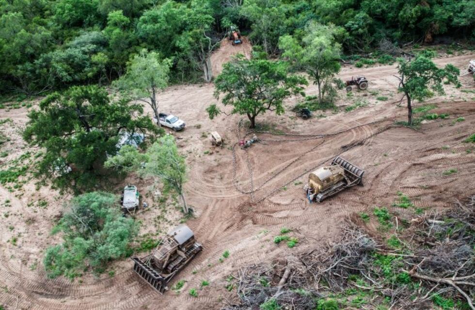 Ambientalistas advierten sobre la deforestación en Salta