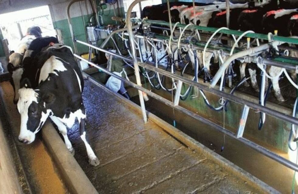 Tamberos mendocinos triplicaron sus ventas tras la escasez nacional de leche