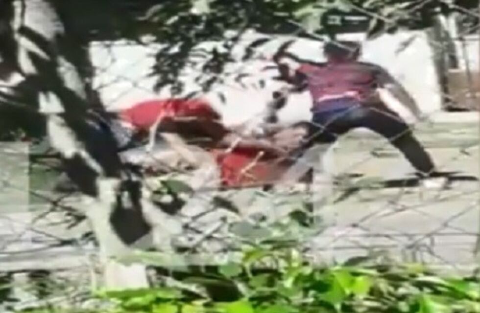 Vecino logró grabar la feroz golpiza que le propinaron a un hombre a plena luz del día