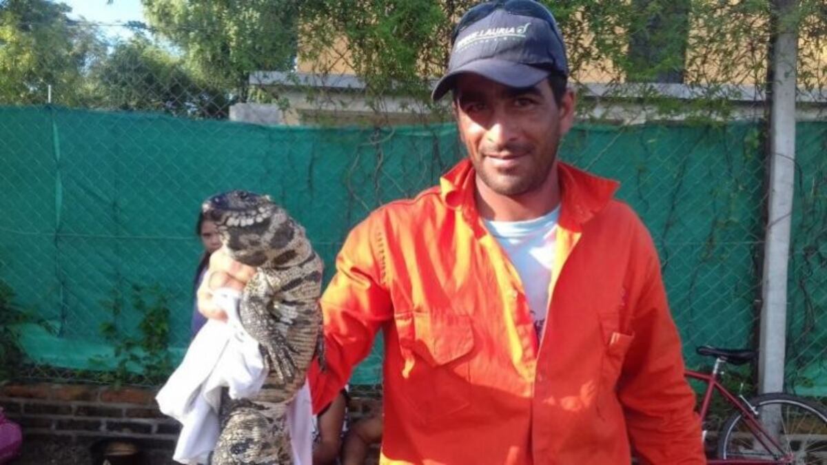 Encontró un lagarto dentro de su casa\u002E