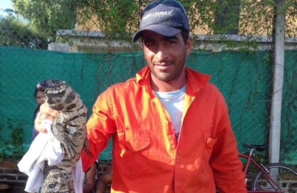 Un lagarto lo sorprendió mientras limpiaba su casa inundada