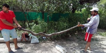 Fotos de whatsapp\u002E