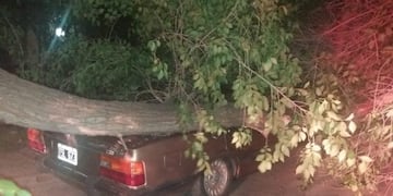 Lo que dejó el temporal de viento en Bahía