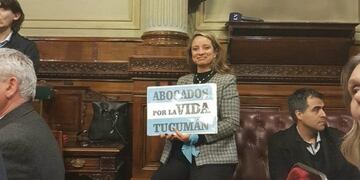 María Teresa Mockevich, abogada de la Red Federal de Familias\u002E (Web)